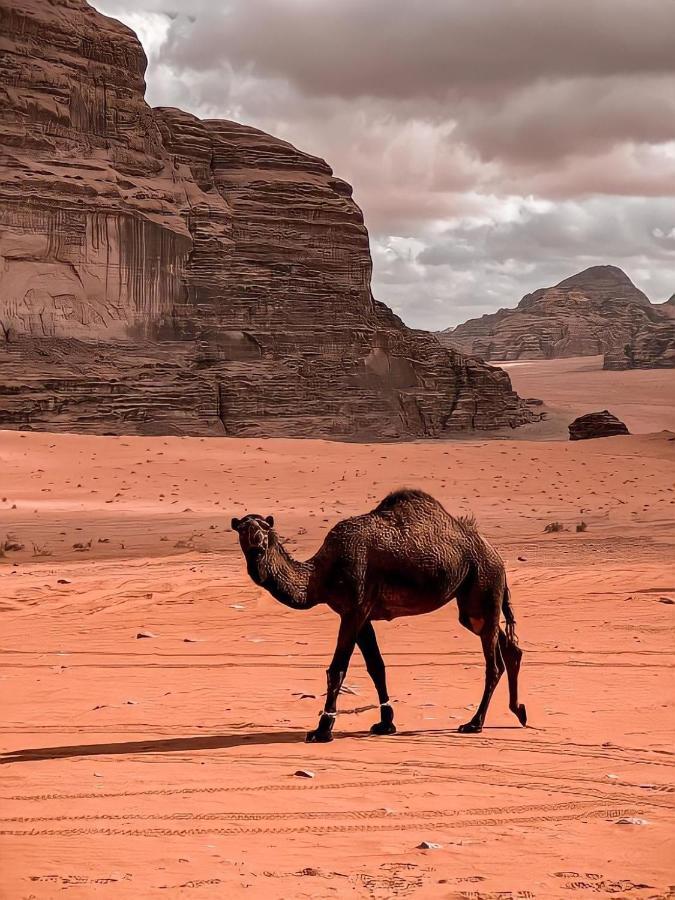 Rum Paradise Luxuri Camp Wadi Rum Exterior photo